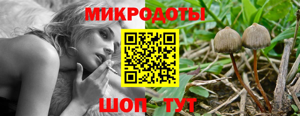 Псилоцибиновые грибы прущие грибы  Вход с VPN  Ливны  Псилоцибиновые грибы прущие грибы 
